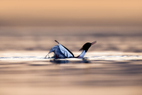 TO ON Mar 14 2024 00533-Edit 2.jpg