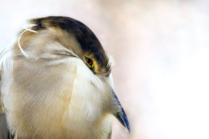 CA ON Feb 23 2023 00176-1.jpg